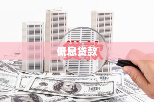 泽普低息贷款
