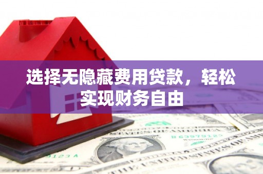 泽普选择无隐藏费用贷款，轻松实现财务自由