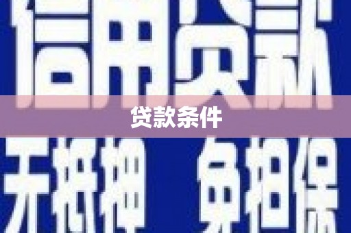 泽普贷款条件