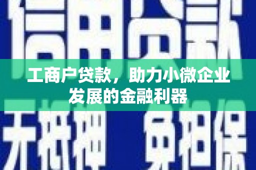 泽普工商户贷款，助力小微企业发展的金融利器