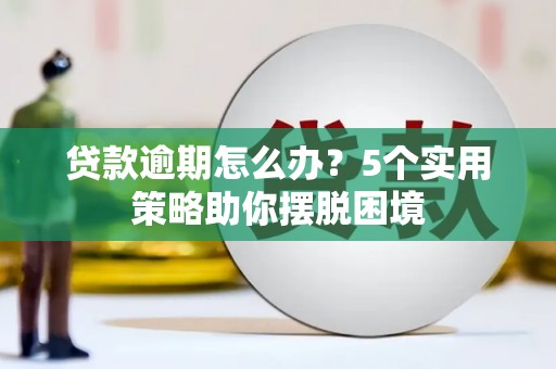 泽普贷款逾期怎么办？5个实用策略助你摆脱困境