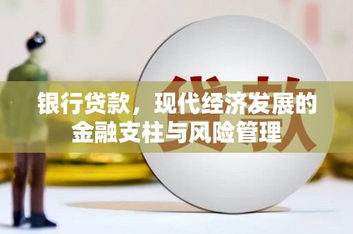 泽普银行贷款，现代经济发展的金融支柱与风险管理