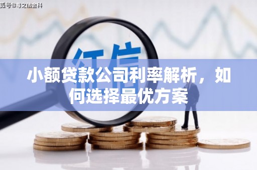 泽普小额贷款公司利率解析，如何选择最优方案