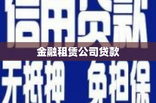 泽普金融租赁公司贷款