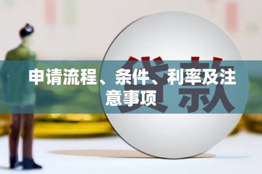 泽普申请流程、条件、利率及注意事项