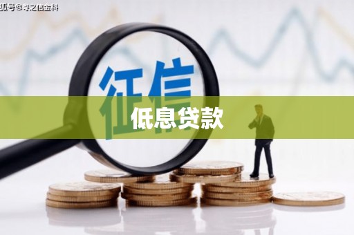 泽普低息贷款