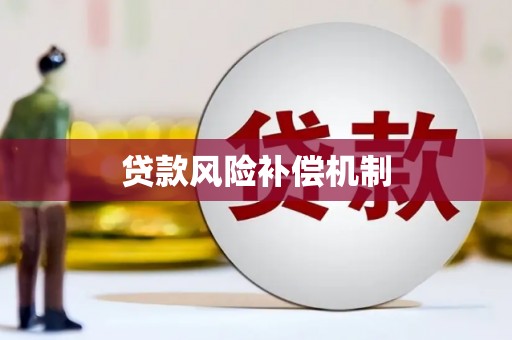 泽普贷款风险补偿机制