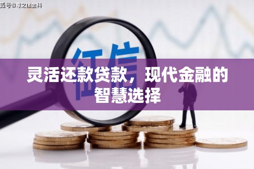泽普灵活还款贷款，现代金融的智慧选择