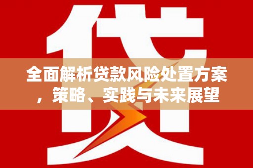 泽普全面解析贷款风险处置方案，策略、实践与未来展望