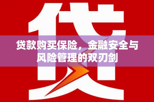 泽普贷款购买保险，金融安全与风险管理的双刃剑