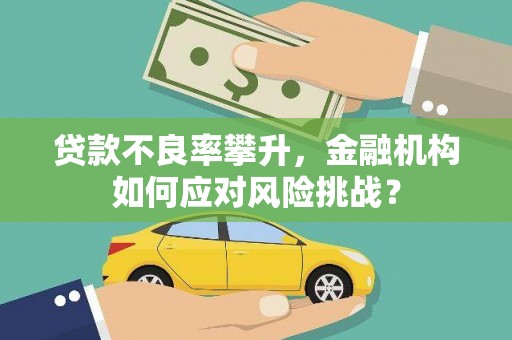 泽普贷款不良率攀升，金融机构如何应对风险挑战？
