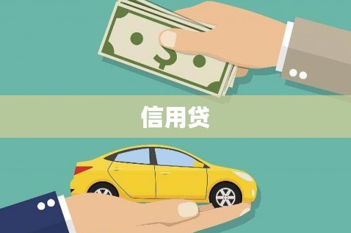 泽普信用贷