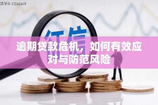 泽普逾期贷款危机，如何有效应对与防范风险