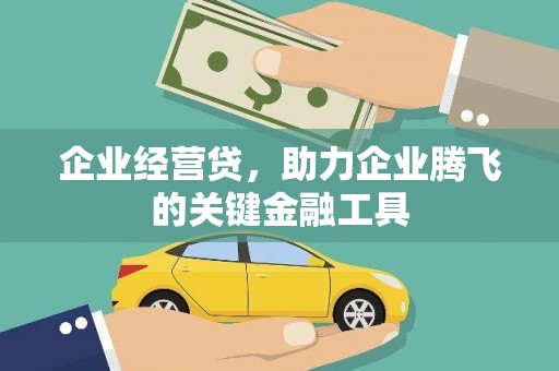 泽普企业经营贷，助力企业腾飞的关键金融工具
