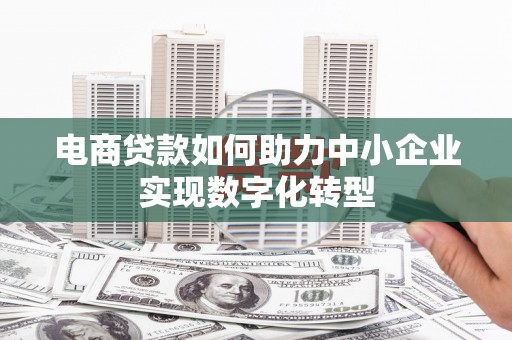泽普电商贷款如何助力中小企业实现数字化转型