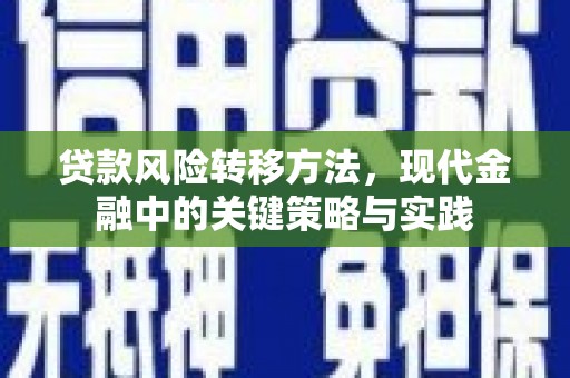 泽普贷款风险转移方法，现代金融中的关键策略与实践
