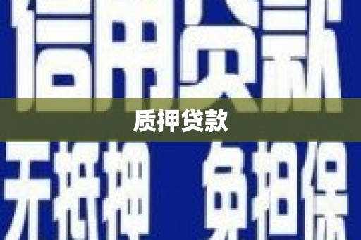 泽普质押贷款