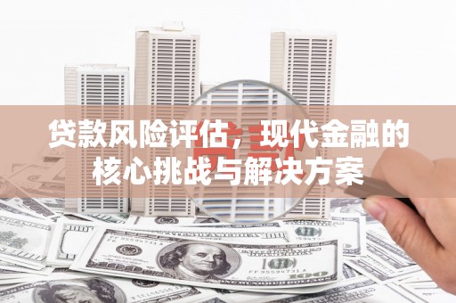 泽普贷款风险评估，现代金融的核心挑战与解决方案
