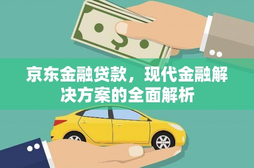 泽普京东金融贷款，现代金融解决方案的全面解析