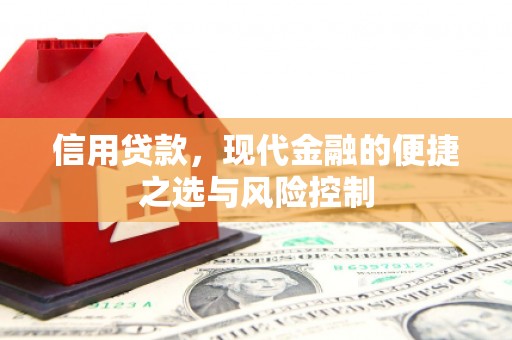 泽普信用贷款，现代金融的便捷之选与风险控制