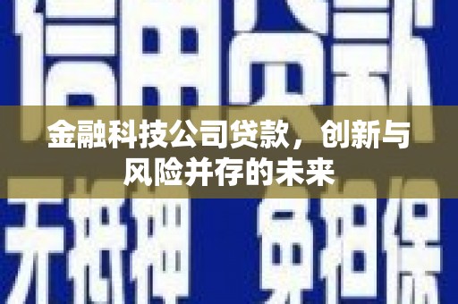 泽普金融科技公司贷款，创新与风险并存的未来