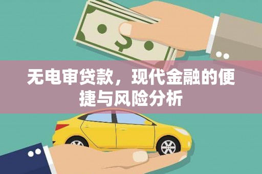 泽普无电审贷款，现代金融的便捷与风险分析