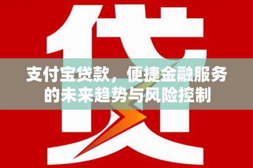 泽普支付宝贷款，便捷金融服务的未来趋势与风险控制