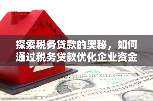 泽普探索税务贷款的奥秘，如何通过税务贷款优化企业资金流
