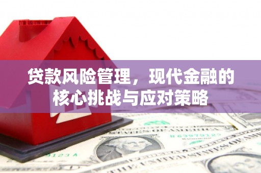 泽普贷款风险管理，现代金融的核心挑战与应对策略