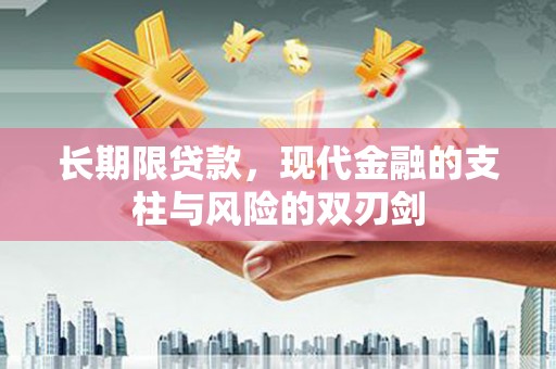 泽普长期限贷款，现代金融的支柱与风险的双刃剑
