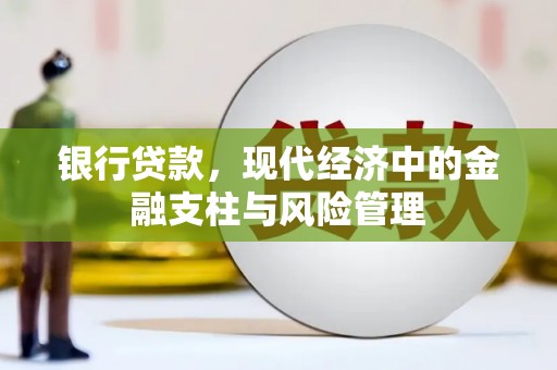 泽普银行贷款，现代经济中的金融支柱与风险管理