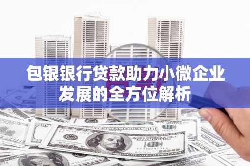 泽普包银银行贷款助力小微企业发展的全方位解析