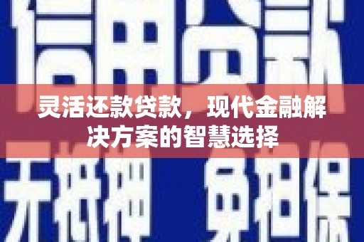 泽普灵活还款贷款，现代金融解决方案的智慧选择