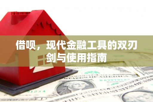 泽普借呗，现代金融工具的双刃剑与使用指南