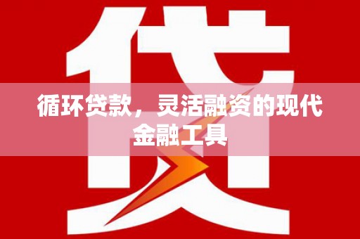 泽普循环贷款，灵活融资的现代金融工具