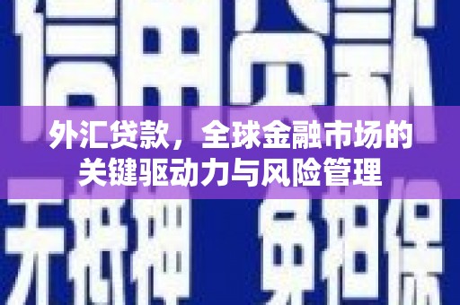 泽普外汇贷款，全球金融市场的关键驱动力与风险管理