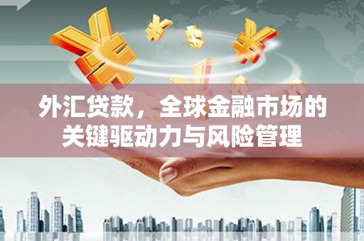 泽普外汇贷款，全球金融市场的关键驱动力与风险管理
