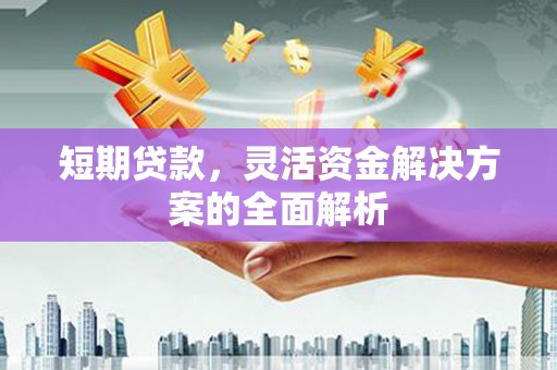 泽普短期贷款，灵活资金解决方案的全面解析