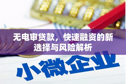 泽普无电审贷款，快速融资的新选择与风险解析