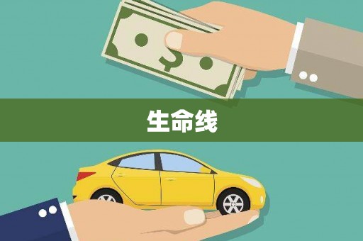 泽普生命线