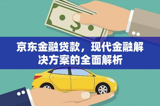 泽普京东金融贷款，现代金融解决方案的全面解析