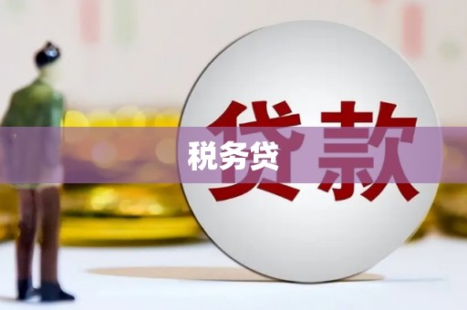 泽普税务贷