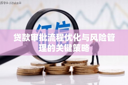 泽普贷款审批流程优化与风险管理的关键策略