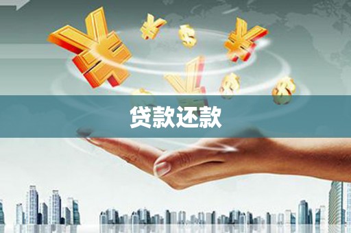 泽普贷款还款