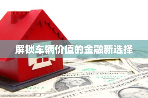泽普解锁车辆价值的金融新选择