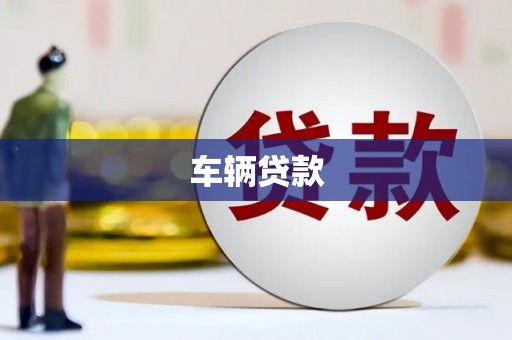 泽普车辆贷款