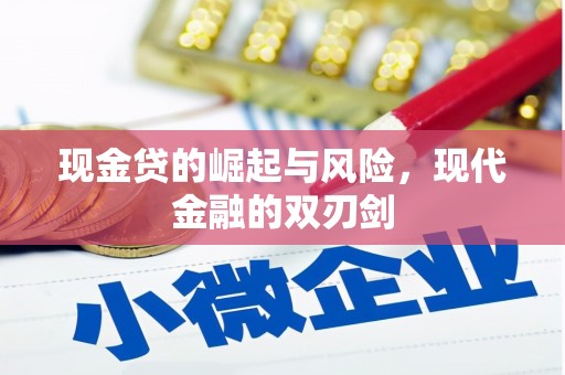 泽普现金贷的崛起与风险，现代金融的双刃剑