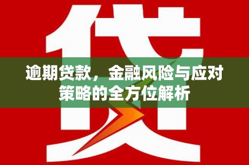 泽普逾期贷款，金融风险与应对策略的全方位解析