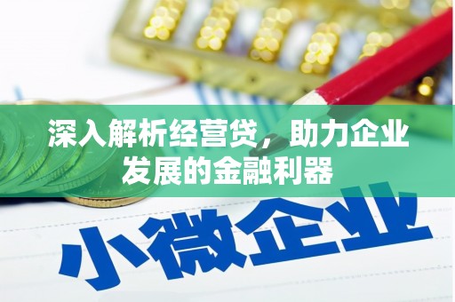 泽普深入解析经营贷，助力企业发展的金融利器