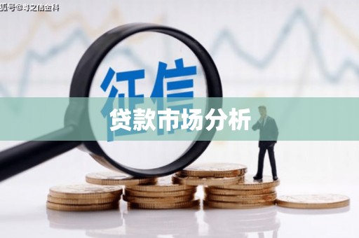 泽普贷款市场分析